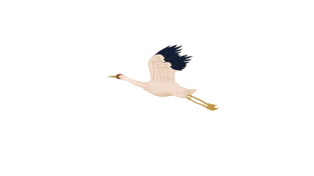 Crane Image 1