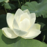 嗯吶···的头像