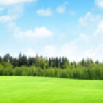 chencheng1989029的头像